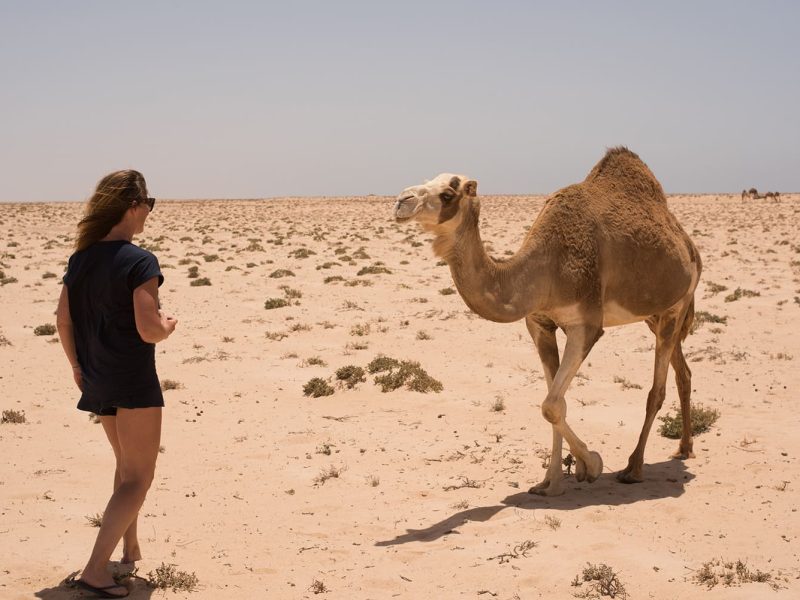 Excursion-dakhla